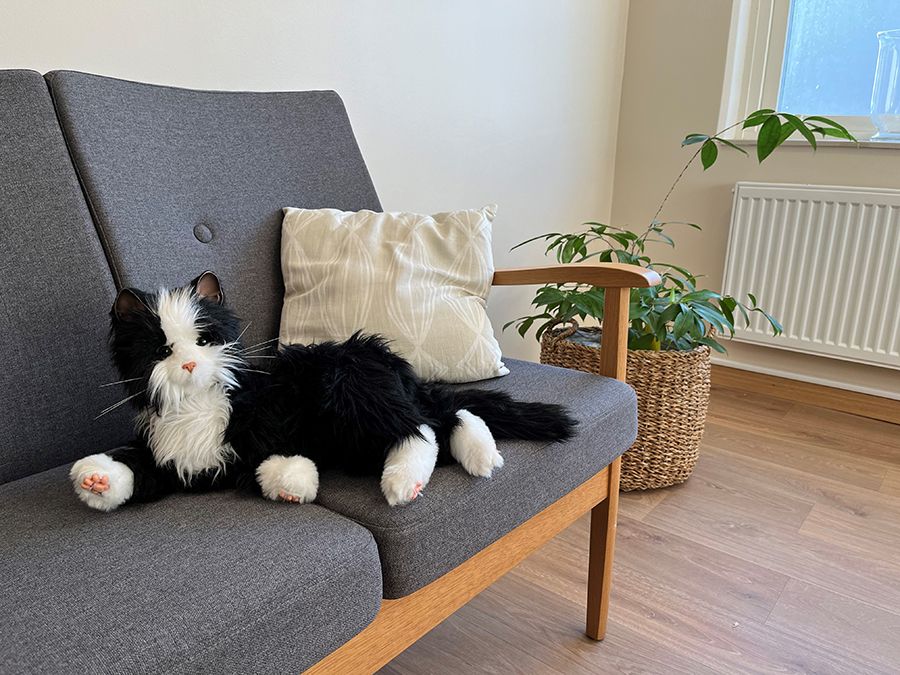 Svartvit tygkatt på grå soffa.