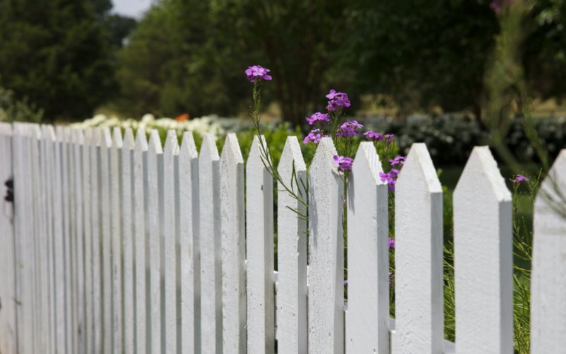Vitt trästaket med grönska och blommor i bakgrunden.