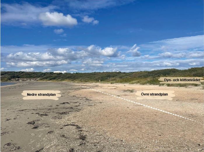 Nedre strandplan