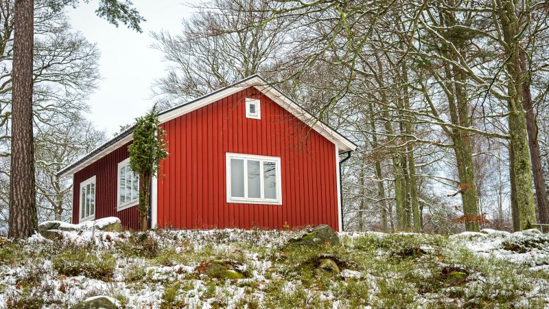 Liten röd stuga bland träd.