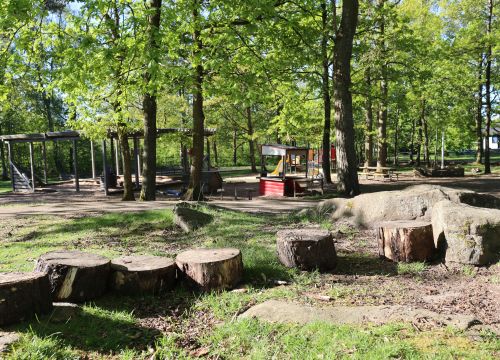 Balansbana av stubbar och sten, grönska i bakgrunden