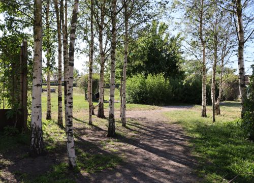 Grusgångar mellan träd och buskar