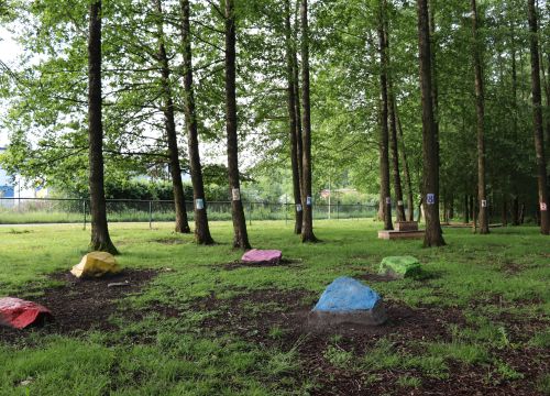 Skogsdunge med färgglada stenar att gå på