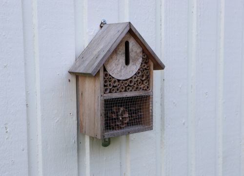 Insektshotell i form av litet hus på fasadvägg