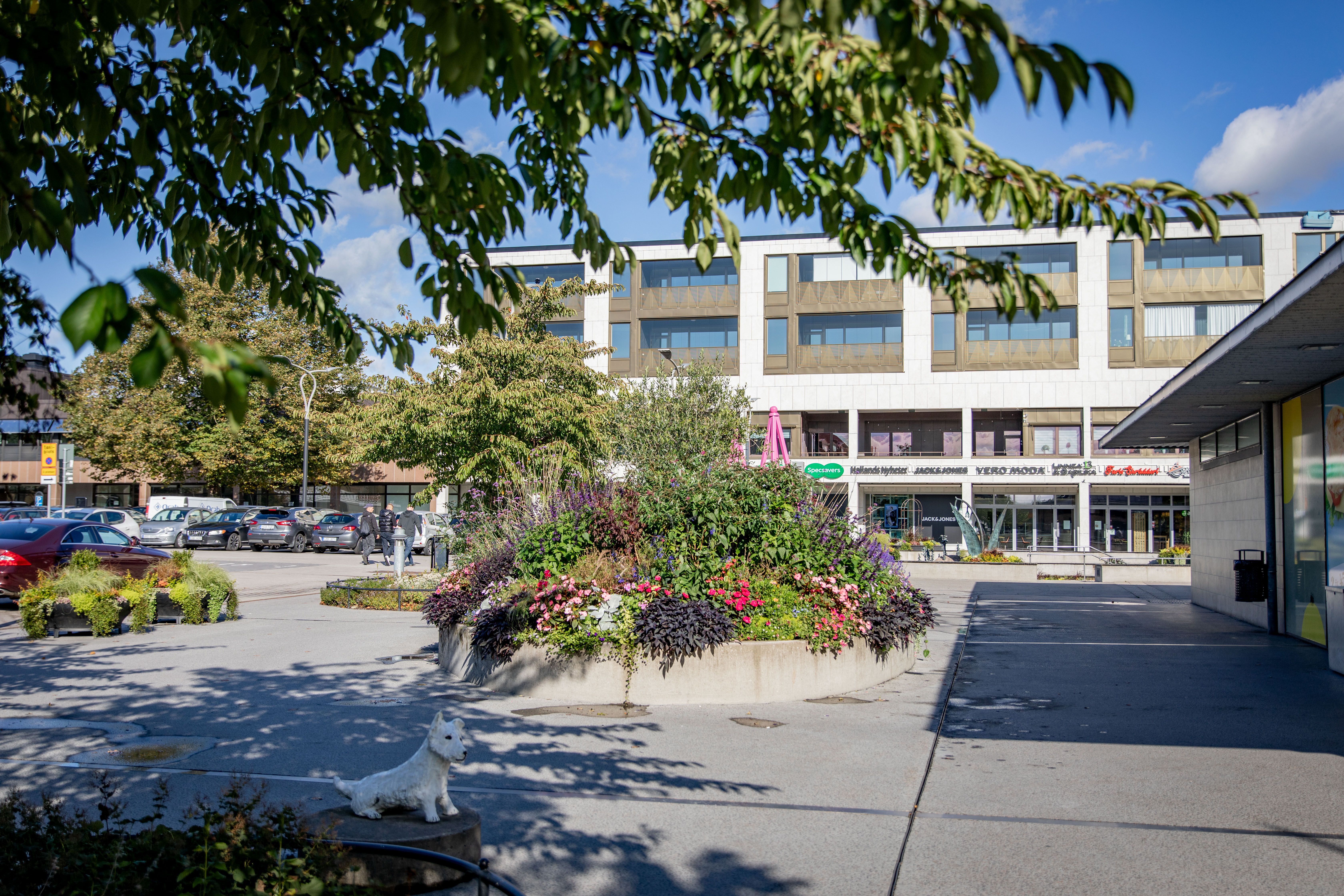 Stortorget i Falkenberg: Blomsterarrangemang och staty av vit hund, byggnad i bakgrunden och blå himmel.