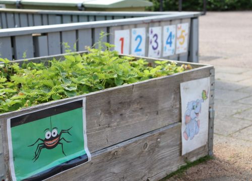 Odling i trälåda, siffror i bakgrunden