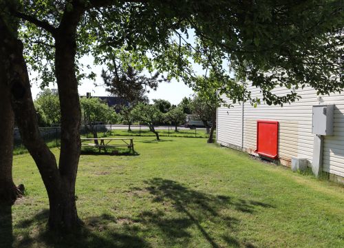Gräsplan med bord och bänkar, vit fasadvägg - träd i förgrunden