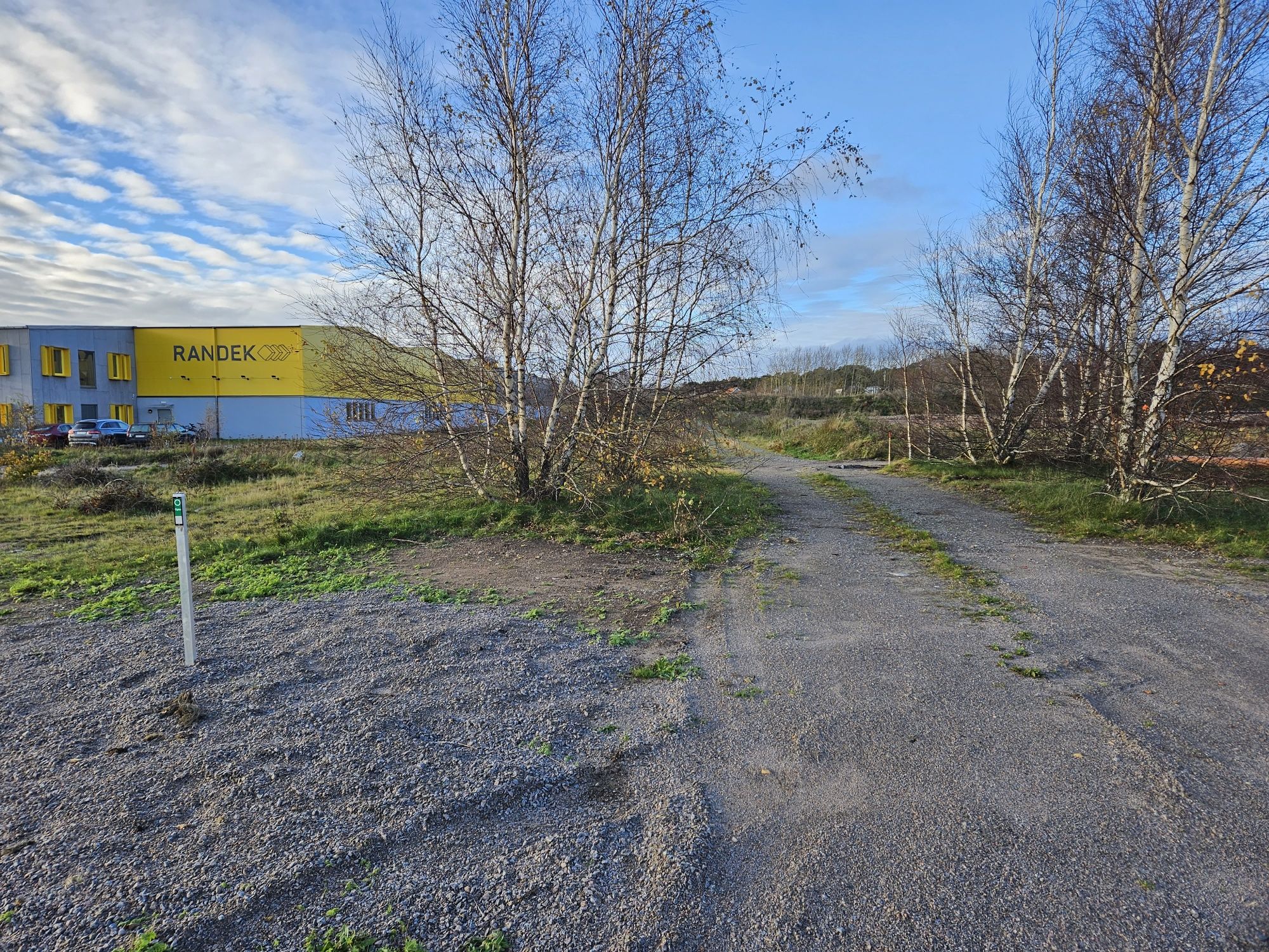 En grusväg med björkar längs sidorna samt en byggnad i bakgrunden.
